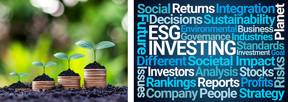 Access a wide range of sustainable and ethical investment options